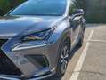 Lexus NX 300h NX I 2018 300h 2.5 F Sport 4wd cvt - thumbnail 11
