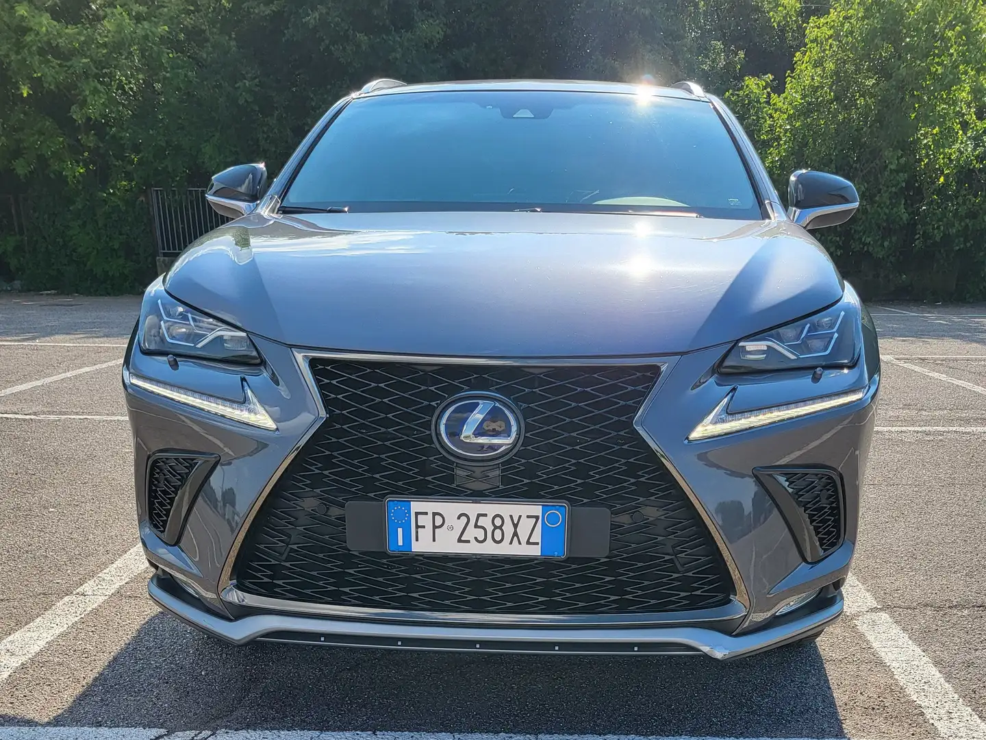 Lexus NX 300h NX I 2018 300h 2.5 F Sport 4wd cvt - 1