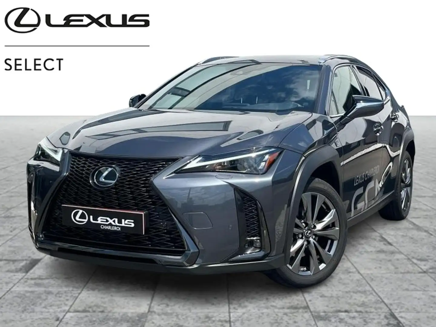 Lexus UX 250h F SPORT Design - NEW Gris - 1