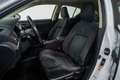Lexus CT 200h Business Blanc - thumbnail 13
