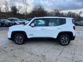 Jeep Renegade 1.0 T3 120cv Longitude Bianco - thumbnail 2