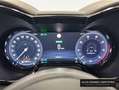 Alfa Romeo Tonale 1.5 MHEV GASOLINA 130 CV  FWD Sprint Azul - thumbnail 13