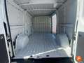 Fiat Ducato L2H1 Blanco - thumbnail 16