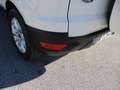 Ford EcoSport 1.0 ECOBOOST S 125cv E6 TITANIUM KM CERTIFICATI Weiß - thumbnail 6