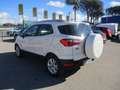 Ford EcoSport 1.0 ECOBOOST S 125cv E6 TITANIUM KM CERTIFICATI Weiß - thumbnail 4