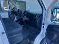 Peugeot Boxer Boxer 333 2.2 BlueHDi 140 S&S PM-TM L2H2 Blanc - thumbnail 16