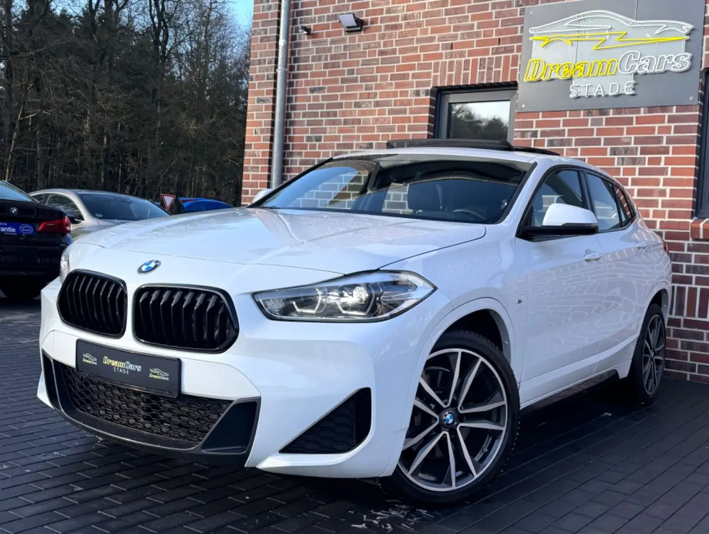 BMW X2 sDrive 20d M Sport Shadow Pano*AHK*Ambiente Blanc - 1