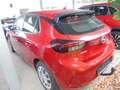 Opel Corsa Edition Sitzheizung Einparkhilfe hinten Rot - thumbnail 2
