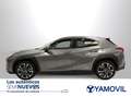 Lexus UX 250h Executive 2WD Gris - thumbnail 23