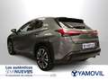 Lexus UX 250h Executive 2WD Grau - thumbnail 24