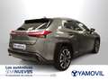 Lexus UX 250h Executive 2WD Grau - thumbnail 25