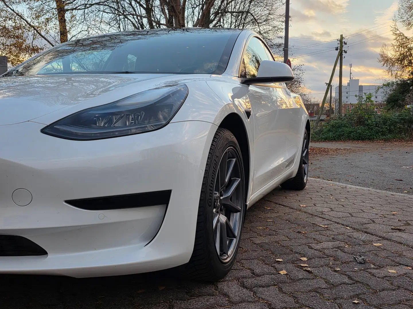 Tesla Model 3 Model 3 Standard Reichweite Plus Hinterradantrieb Weiß - 1