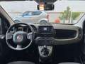 Fiat Panda 1.0 firefly hybrid s&s 70cv 5p.ti - thumbnail 5
