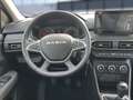 Dacia Sandero Stepway Expression Winter/Sicherheits-Pake Noir - thumbnail 16