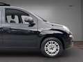 Fiat Panda 1.0 hybrid UNIPRO-PROMO-FINANZIAMENTOLSCAR Noir - thumbnail 20