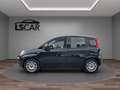 Fiat Panda 1.0 hybrid UNIPRO-PROMO-FINANZIAMENTOLSCAR Noir - thumbnail 4