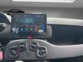 Fiat Panda 1.0 hybrid UNIPRO-PROMO-FINANZIAMENTOLSCAR Noir - thumbnail 11