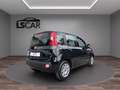 Fiat Panda 1.0 hybrid UNIPRO-PROMO-FINANZIAMENTOLSCAR Noir - thumbnail 7