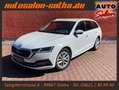 Skoda Octavia Combi Style LED+NAV APP CAM SHZ LANE ACC Weiß - thumbnail 1