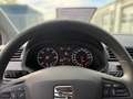 SEAT Ibiza Style TDI Blanc - thumbnail 13
