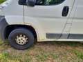 Fiat Ducato Ducato 30 L1H1 115 Multijet Weiß - thumbnail 1