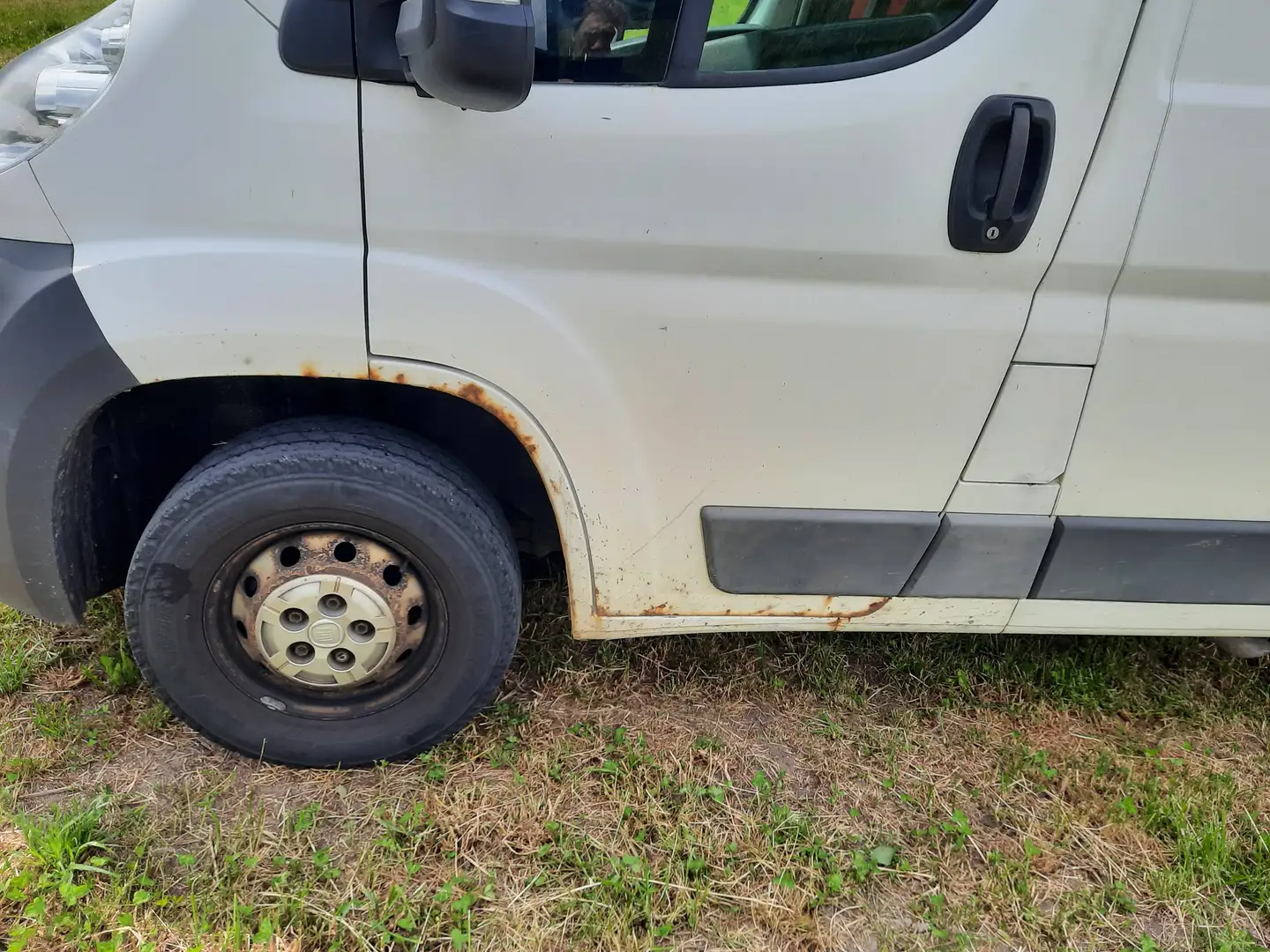 Fiat Ducato Ducato 30 L1H1 115 Multijet Weiß - 1