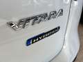 Suzuki Vitara 1.5 Hybrid A/T 4WD Allgrip Starview- AUTO NUOVA - - thumbnail 12