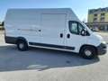 Fiat Ducato MAXI 35 XLH3 2.3 Multijet 130CV EURO6B L3 H3 L3H3 Bianco - thumbnail 6