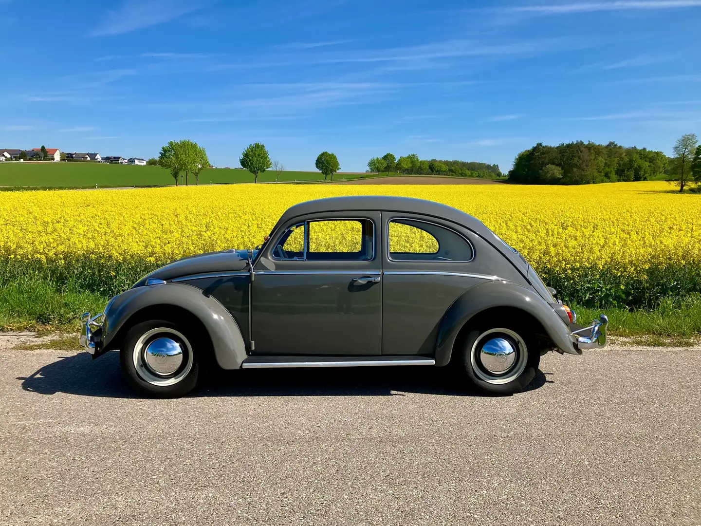 Volkswagen Käfer 1200 Wertgutachten 1- Gris - 1