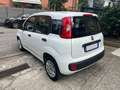 Fiat Panda Panda 1.2 Lounge 69cv *UNIPROPRIETARIO* - thumbnail 6