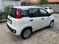 Fiat Panda Panda 1.2 Lounge 69cv *UNIPROPRIETARIO* - thumbnail 4
