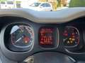 Fiat Panda 1.2 Lounge 69cv - thumbnail 12