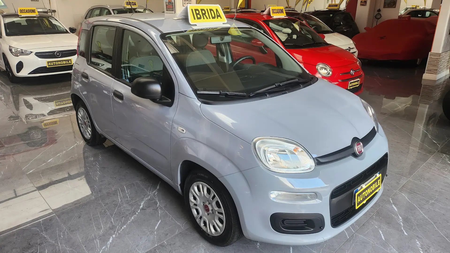 Fiat Panda Panda III 2021 1.0 firefly hybrid prezzo reale !! Grigio - 2