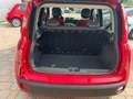 Fiat Panda Panda 1.2 Active 69cv E5 Rouge - thumbnail 12