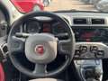 Fiat Panda Panda 1.2 Active 69cv E5 Rouge - thumbnail 13