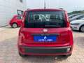 Fiat Panda Panda 1.2 Active 69cv E5 Rouge - thumbnail 7