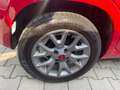 Fiat Panda Panda 1.2 Active 69cv E5 Rouge - thumbnail 21