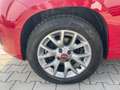 Fiat Panda Panda 1.2 Active 69cv E5 Rouge - thumbnail 20