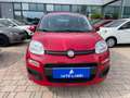 Fiat Panda Panda 1.2 Active 69cv E5 Rouge - thumbnail 3