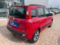 Fiat Panda Panda 1.2 Active 69cv E5 Rouge - thumbnail 6