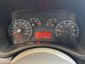 Fiat Panda 1.2 Benzina *EURO 4 * OCCASIONE* - thumbnail 14