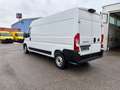 Fiat Ducato MAXI L3H2 140MT Schwingsitz Weiß - thumbnail 5