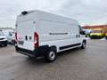 Fiat Ducato MAXI L3H2 140MT Schwingsitz Weiß - thumbnail 6