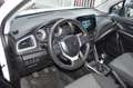 Suzuki S-Cross 1.4 BOOSTERJET HYBRID 129CH PRIVILEGE Weiß - thumbnail 7