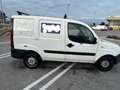 Fiat Doblo Cargo 223.116.2 Weiß - thumbnail 4