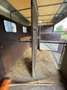 Iveco Daily Trasporto cavalli 2998 cc 107 Kw Alb - thumbnail 5
