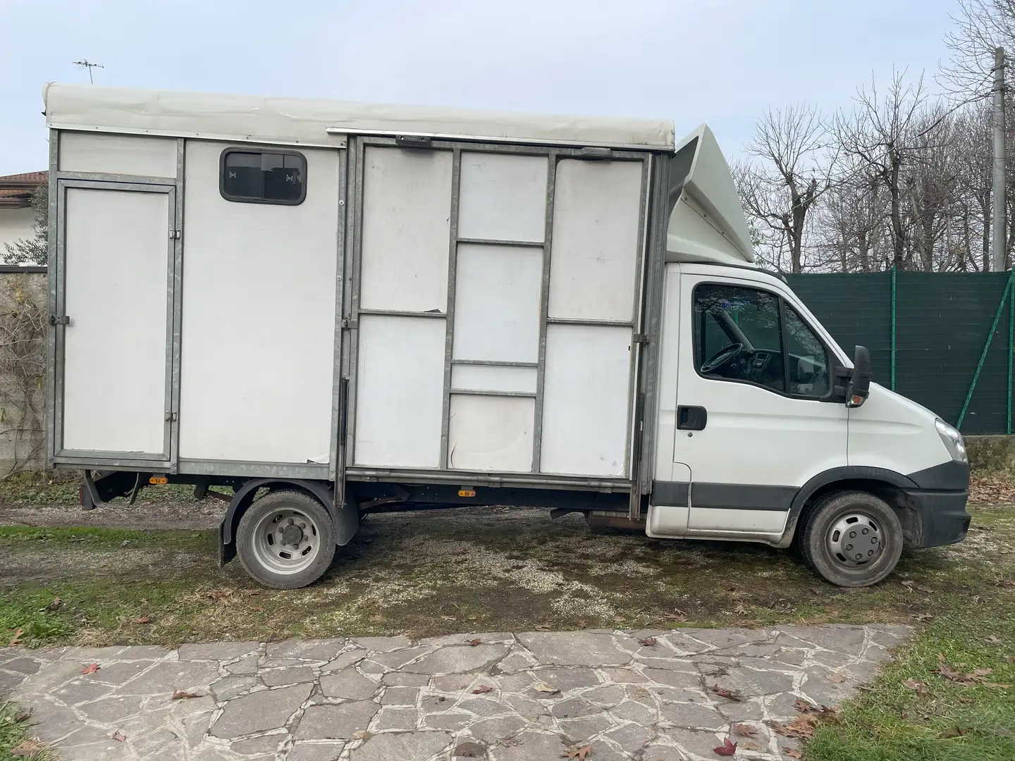 Iveco Daily Trasporto cavalli 2998 cc 107 Kw Biały - 1
