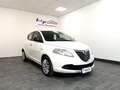 Lancia Ypsilon 1.2 69 CV 5 porte Gold Bianco - thumbnail 4