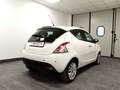 Lancia Ypsilon 1.2 69 CV 5 porte Gold Bianco - thumbnail 5