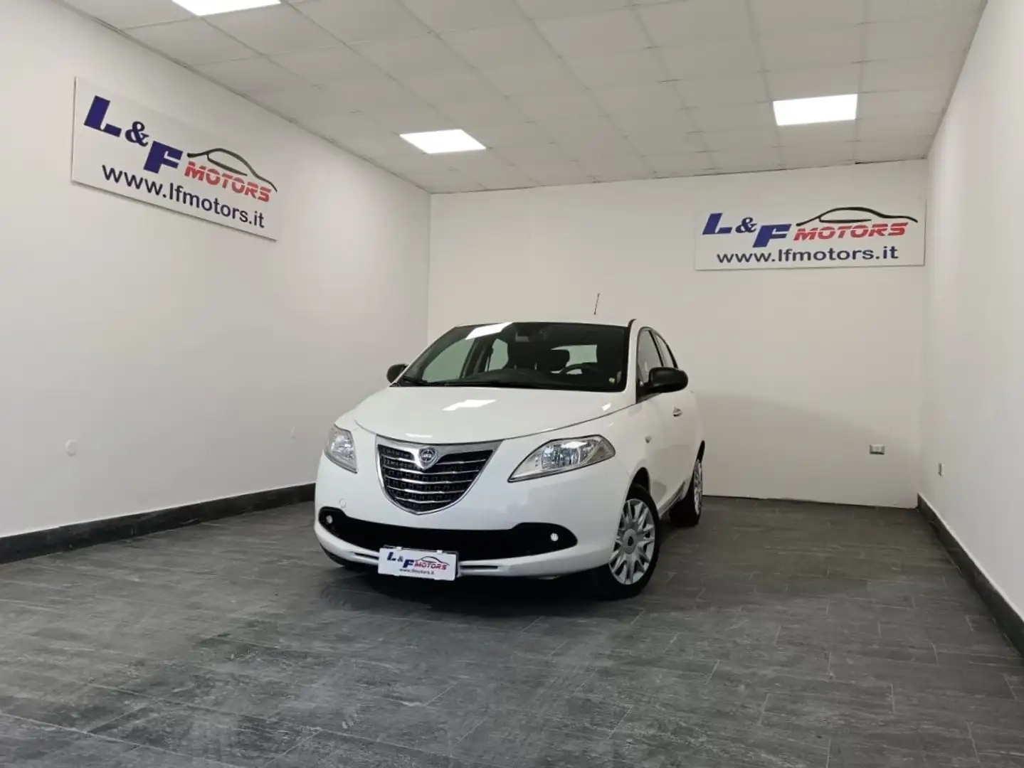 Lancia Ypsilon 1.2 69 CV 5 porte Gold Bianco - 1